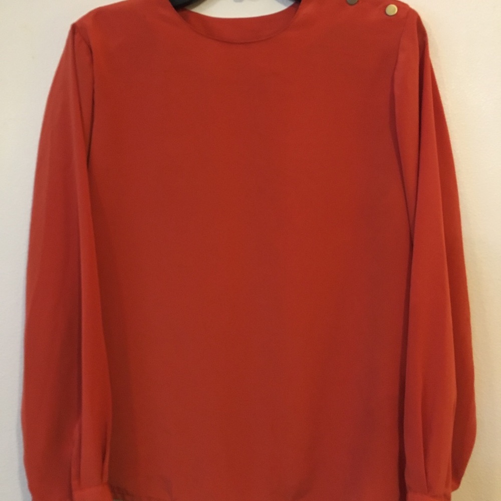 Autumn colored sleek dress top